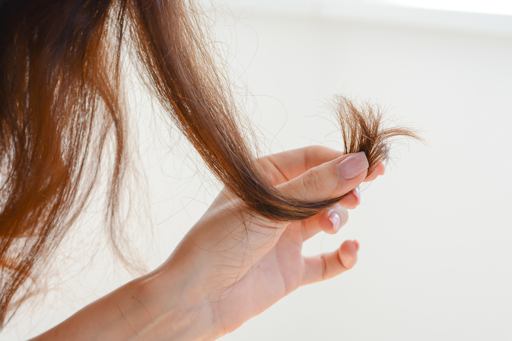 tops-of-hair-with-splitting-ends